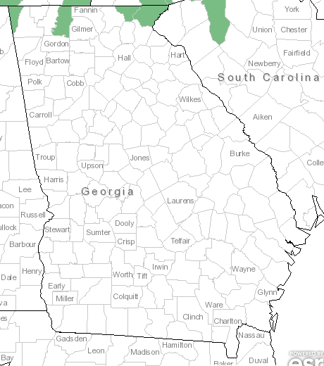 The Georgia range of Astilbe biternata